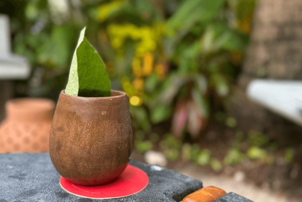 cocktail in coconut cup with leaf detail